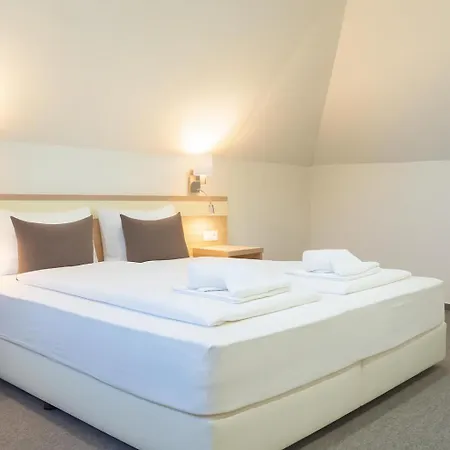 Mikes アパート バラトンフレド